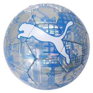 PUMA（プーマ） サッカーボール 4号 検定球 ケージ サッカーボール HS