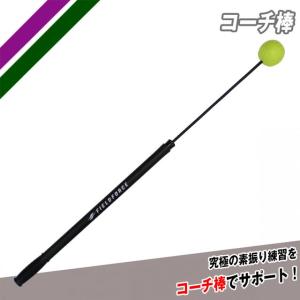 フィールドフォース 野球 コーチ棒 トレーニング 部活 練習 バッティング練習 省スペース FCA-7012N｜ballclub