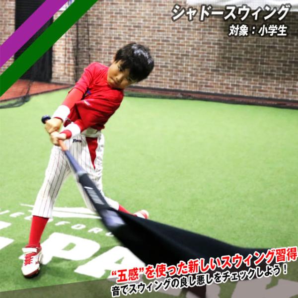 フィールドフォース シャドースウィング バッティング練習 小学生向け スウィングチェック フォーム改...