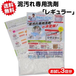 泥汚れ専用洗剤 レギュラー お試しサンプル3回分