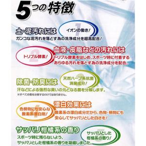 泥汚れ専用洗剤 レギュラー お試しサンプル3回...の詳細画像1