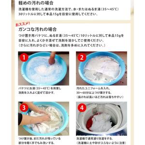 泥汚れ専用洗剤 レギュラー お試しサンプル3回...の詳細画像2