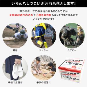 泥汚れ専用洗剤 レギュラー お試しサンプル3回...の詳細画像3