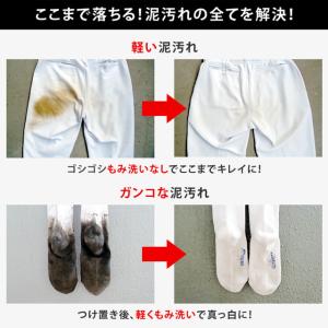 泥汚れ専用洗剤 レギュラー お試しサンプル3回...の詳細画像4