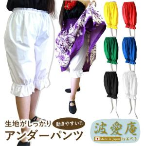 フラダンス衣装 フラダンス パンツ アンダーパン...の商品画像