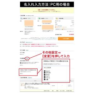 バレエ レオタード 刺しゅう名入れサービス サ...の詳細画像5