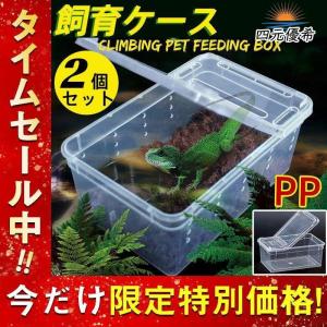 カブトガニ 飼育 セットの商品一覧 通販 Yahoo ショッピング