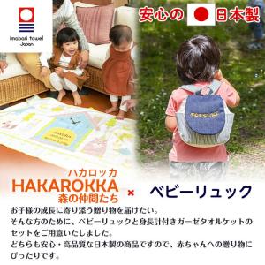 身長計ガーゼケット ベビーリュック セット ハ...の詳細画像2