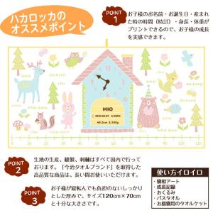 身長計ガーゼケット ベビーリュック セット ハ...の詳細画像3