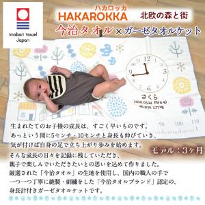 ハカロッカ 北欧の森と街 出産祝い 日本製 ガ...の詳細画像1