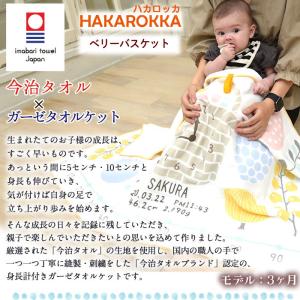 ハカロッカ ベリーバスケット 出産祝い 日本製...の詳細画像1