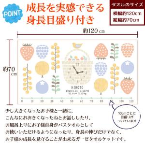 ハカロッカ ベリーバスケット 出産祝い 日本製...の詳細画像4