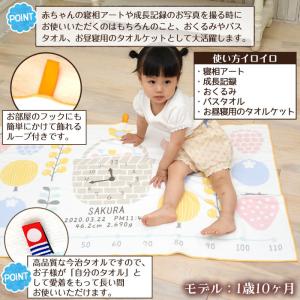 ハカロッカ ベリーバスケット 出産祝い 日本製...の詳細画像5