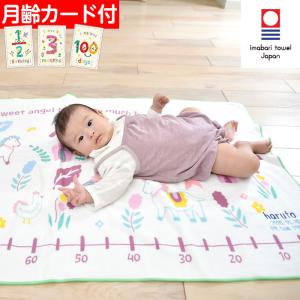 ハカロッカ ポニーファーム 出産祝い 日本製 ガ...の商品画像