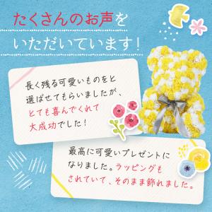 ローズ テディベア ぬいぐるみ電報 クリアボッ...の詳細画像3