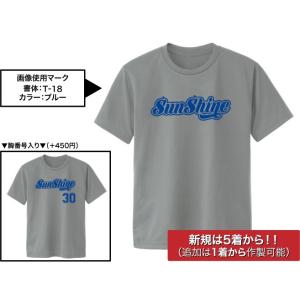 チームTシャツ【GRAY】初回5着〜