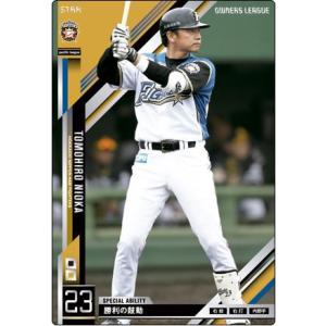 14BBM 日本ハムファイターズ F64 石川慎吾 : スポーツカードミント博多