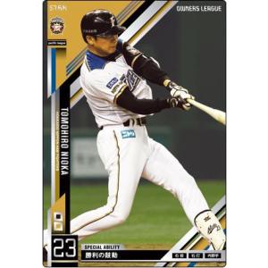 カルビープロ野球チップス 松坂大輔 西武 T-02 '99TITLE HOLDER : すじ