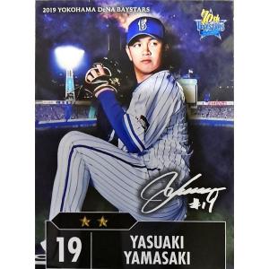 カルビーJリーグチップス 宮本恒靖 直筆サイン入り 日本代表 2005 GF