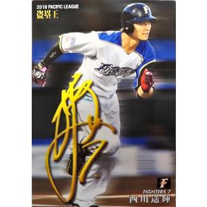 カルビープロ野球チップス 和田一浩 西武 OV-07 OVER30HR 2005年