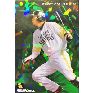 カルビープロ野球チップス 松坂大輔 西武 T-02 '99TITLE HOLDER : すじ