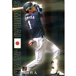 カルビープロ野球チップス 松坂大輔 キラB 西武 T-13 2004 TITLE