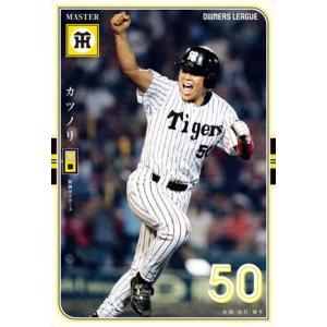 オーナーズリーグ09 白カード 小嶋達也 阪神タイガース : すじ