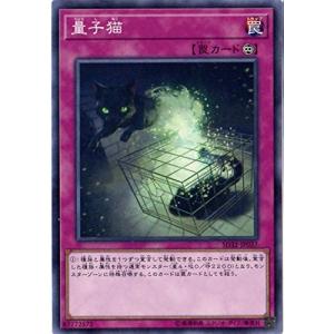 遊戯王　量子猫　ノーマル　SD32-JP037　サイバース・リンク