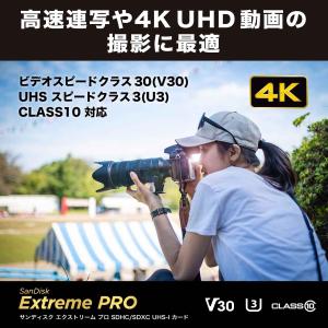 【SanDisk サンディスク】SanDisk...の詳細画像2
