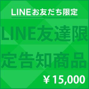 【ノベルティ】LINE公式アカウントフォロワー様限定商品