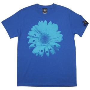 レディースセレクト Bambi Mark Tシャツ (ロイヤルブルー) -X- 半袖 