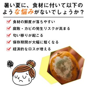 真空保存容器 密閉保存容器 真空パック容器 大...の詳細画像2