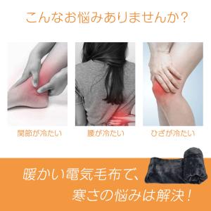 【クーポンで2980円】 電気毛布 掛け毛布 ...の詳細画像2