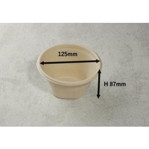 豚汁(SGP-450ml-S-FT) 容器のみの詳細画像2