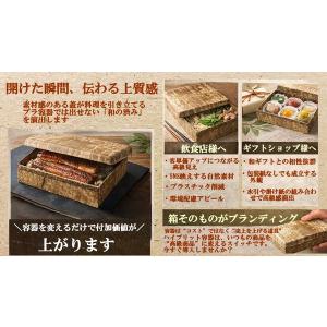 竹の皮 業務用 持ち帰り 業務用 竹皮プレス ...の詳細画像4