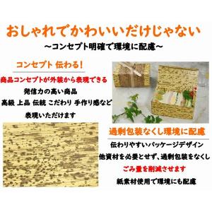 紙容器 使い捨て 省スペース 竹皮紙容器 PT...の詳細画像5