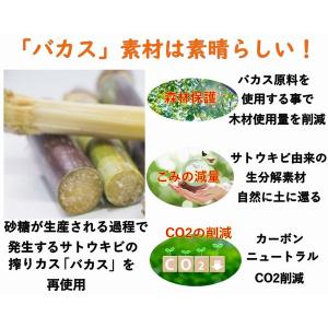 持ち帰り 使い捨て エコ容器 モールドボウル ...の詳細画像3