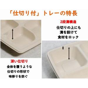 エコ 仕切り 弁当箱 モールド容器 SGP-2...の詳細画像5