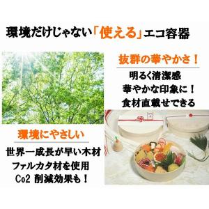 弁当箱 使い捨て 持ち帰り FLR-03B F...の詳細画像3