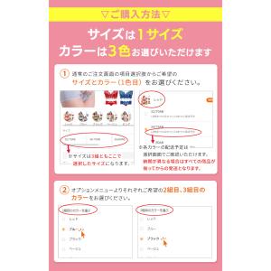 福袋 2026 レディース ブラジャー ショー...の詳細画像3
