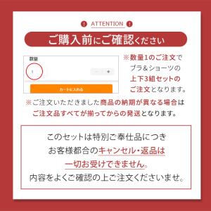 福袋 2026 レディース ブラジャー ショー...の詳細画像4