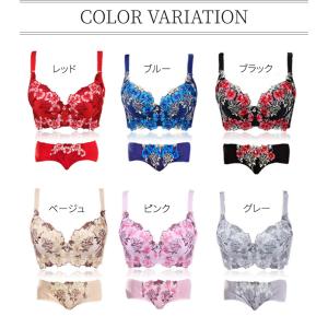 ブラジャー ショーツ セット 脇高 背肉 脇肉...の詳細画像4