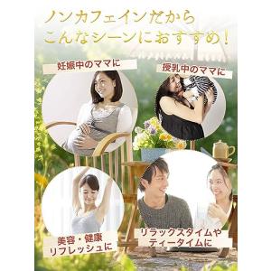 Honjien tea 韃靼そば茶 国産 ティ...の詳細画像3