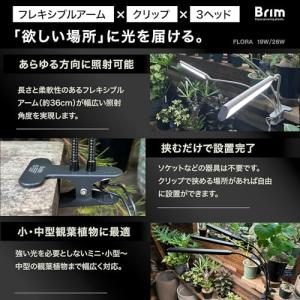 【公式】BRIM(ブリム) FLORA 植物育...の詳細画像2
