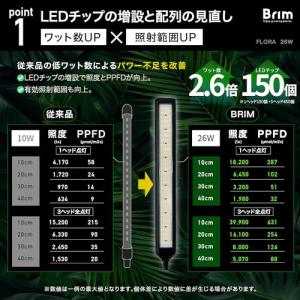 【公式】BRIM(ブリム) FLORA 植物育...の詳細画像3