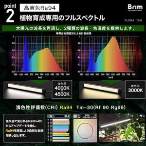 【公式】BRIM(ブリム) FLORA 植物育...の詳細画像4