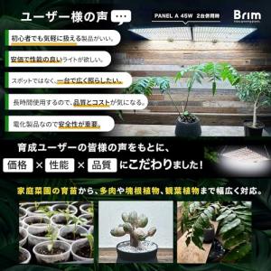 【公式】BRIM(ブリム) PANEL A 植...の詳細画像2