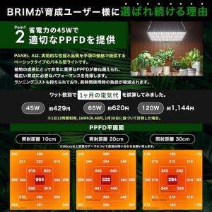 【公式】BRIM(ブリム) PANEL A 植...の詳細画像4