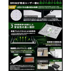 【公式】BRIM(ブリム) PANEL A 植...の詳細画像5