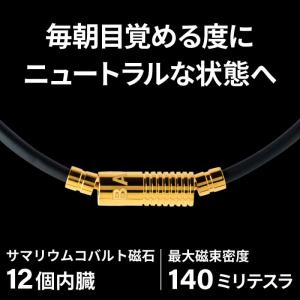 バンデル 公式 BANDEL 磁気ネックレス ...の詳細画像1